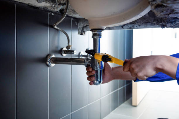 Best Garbage Disposal Repair and Installation  in Morrice, MI